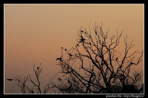Sunset at Sankey Tank