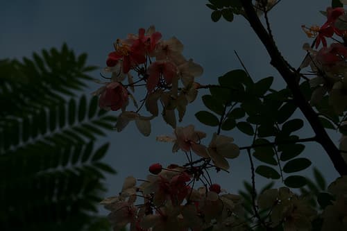 Color level editing with GIMP