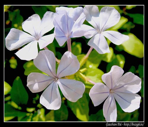 Photography - my new craze