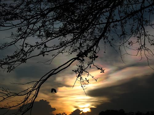 Sankey tank - sunset
