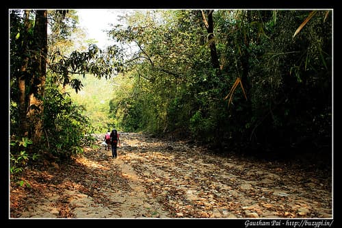 Trek to Ettina Bhuja and Ombattu Gudda - Day 1 experiences