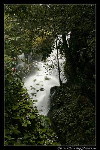 Trip to Devarakolli falls, Devaragundi falls, Matsya Teertha - Thodikana