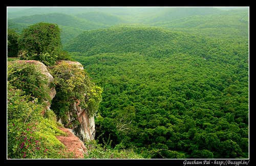 Trip to Gopalaswamy betta and BR hills