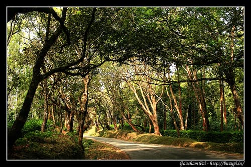 Trip to Horanadu, Kalasa, Kadambi Falls, Kudremukh and Hanumangundi falls