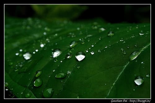Trip to Kalhatti Falls, Kemmangundi, Hebbe Falls and Mullayanagiri - Chikmagalur