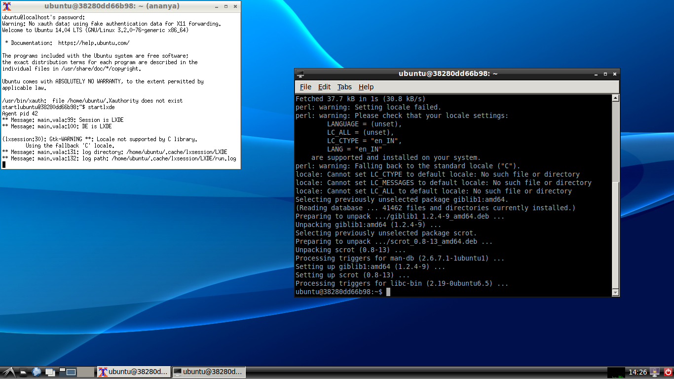 LXDE running in a Docker container
