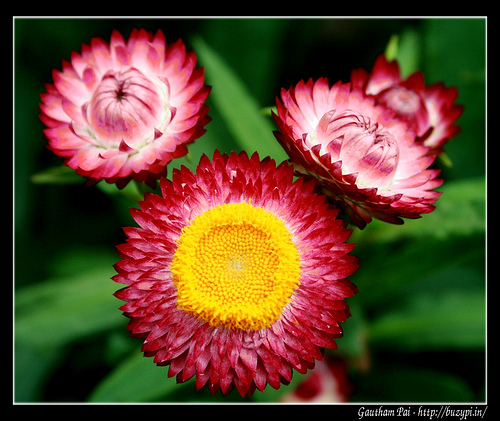 Aperture